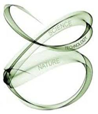 vision image
